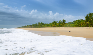 Best houseboat in Alleppey for couple